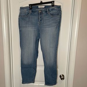 Torrid Jeans